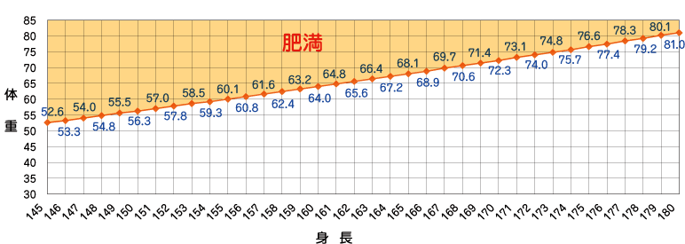 �}�F�O���t